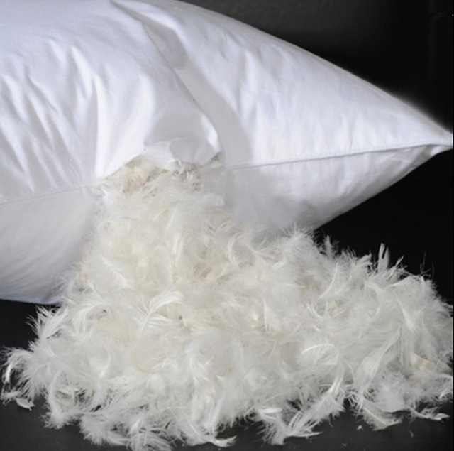 Feather Pillow for sleep-lovers